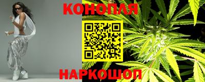 сатива Белореченск