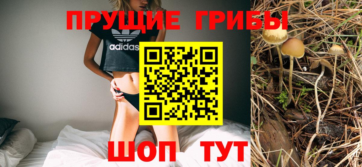 хочу наркоту  Галлюциногенные грибы GOLDEN TEACHER  Борисоглебск  Вход с VPN  Галлюциногенные грибы Magic Shrooms 