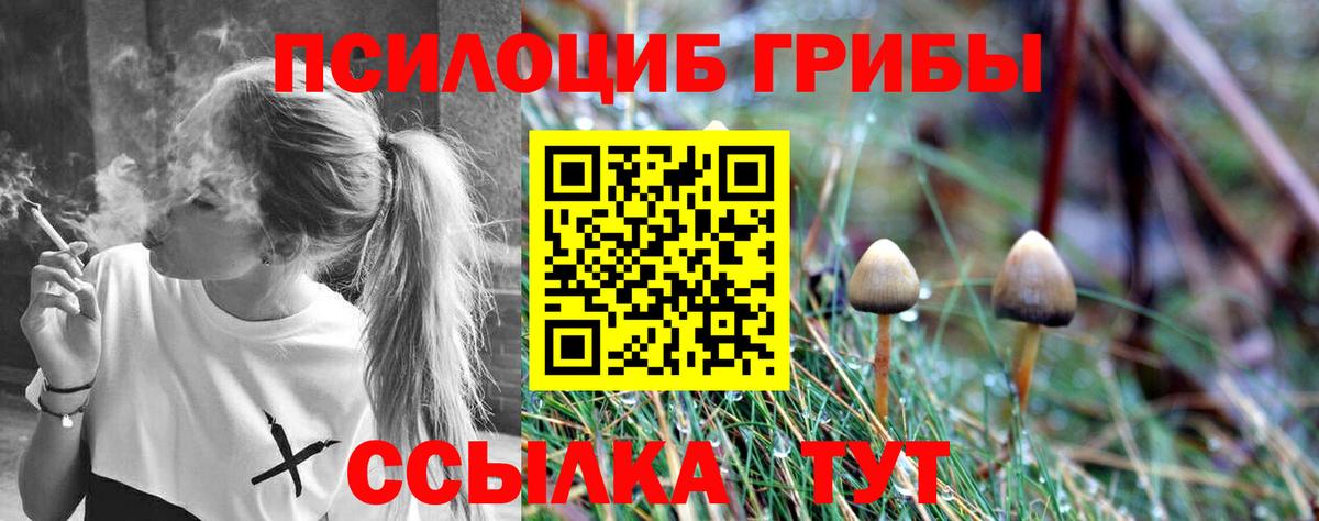 Галлюциногенные грибы мицелий Борисоглебск